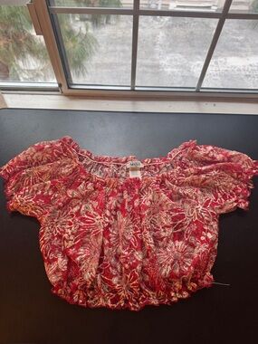 Coachella Red Floral Mesh Crop Top